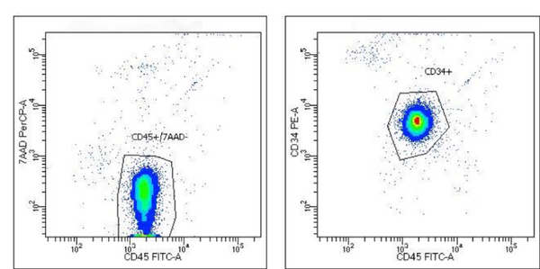 Human Cord Blood CD34 Progenitor Stem Cells, CBCD34, Flow Cytometry