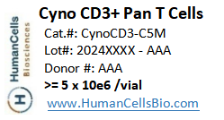 Buy Cynomolgus Monkey CD3+ Pan T Cells. Cynomolgus Monkey T cells ...