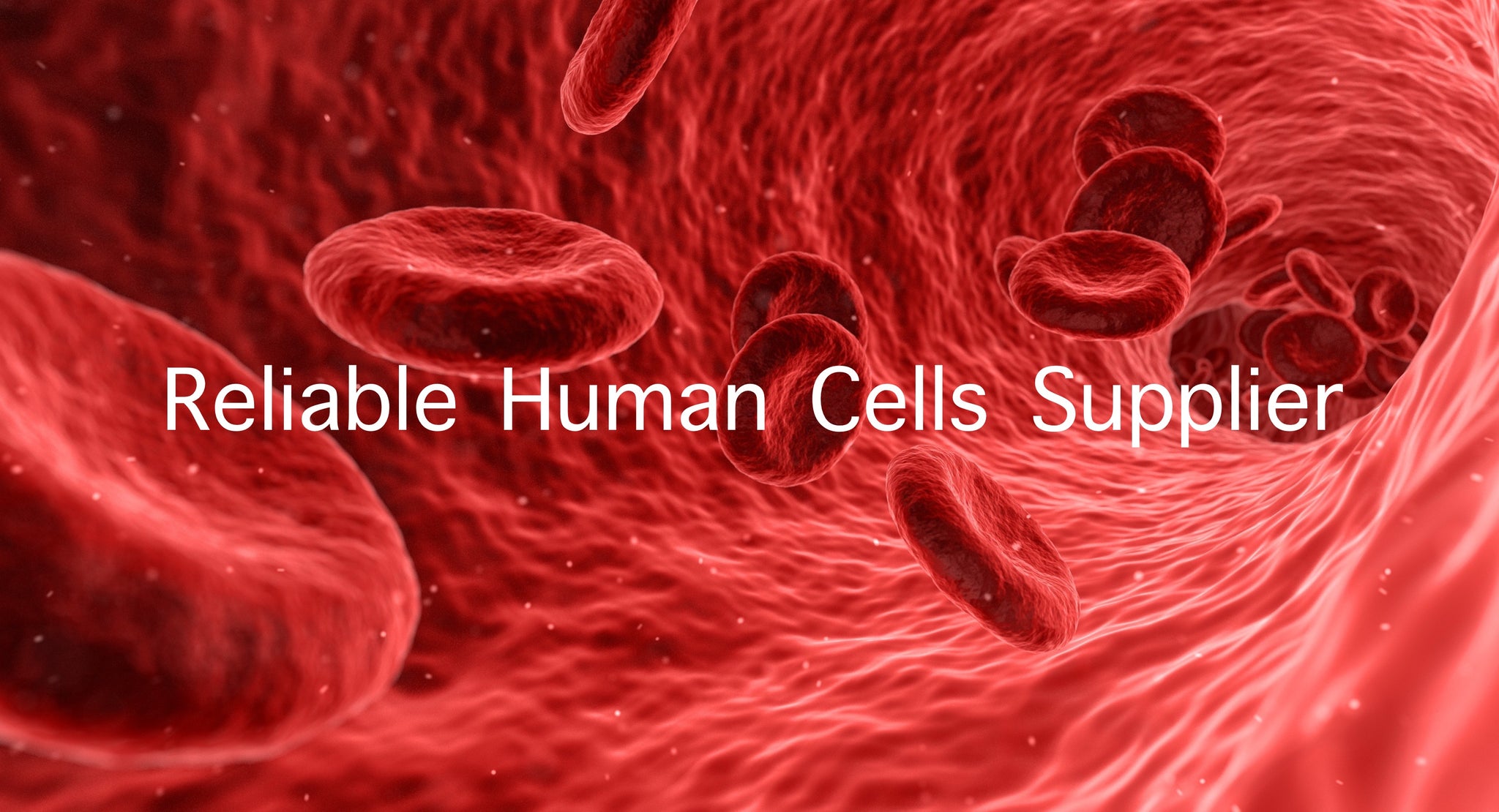 Human and nonhuman primates cells, best quality, competitive price ...