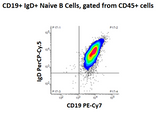 Human Normal Peripheral Blood Untouched CD19+/IgD+ Naive B Cells, Flowcytometry