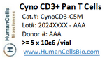 Cynomolgus monkey Macaca fascicularis, PBMC, CD3 Pan T Cells