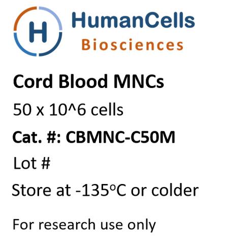 human cord blood monocuclear cells, CB MNCs