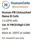 Human Normal Peripheral Blood Untouched CD19+/IgD+ Naive B Cells
